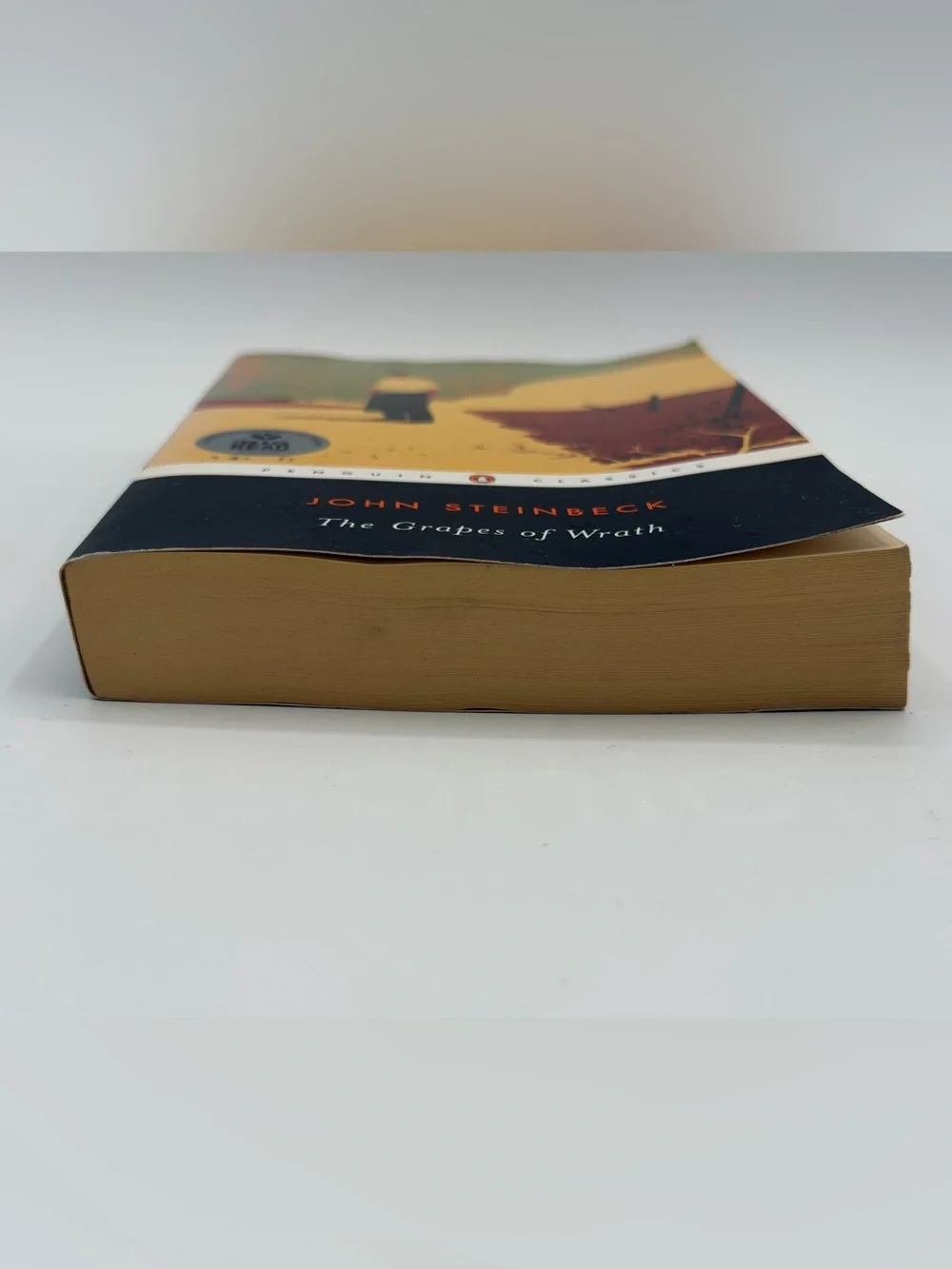 The Grapes of Wrath by John Steinbeck (Paperback Book, 2006)